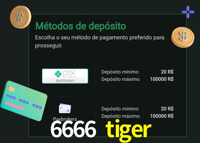O cassino 6666 tiger oferece uma grande variedade de métodos de pagamento
