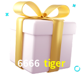 Receba seus bônus de boas-vindas no 6666 tiger